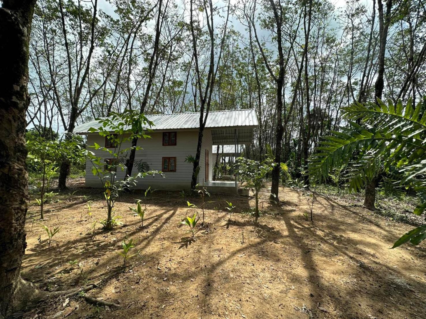 Rabbit Bungalow Ко-Фаям Екстер'єр фото